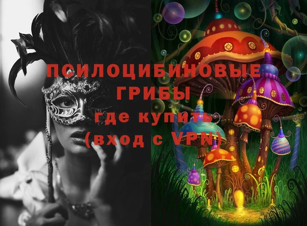 тгк Касимов