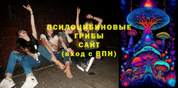 тгк Касимов