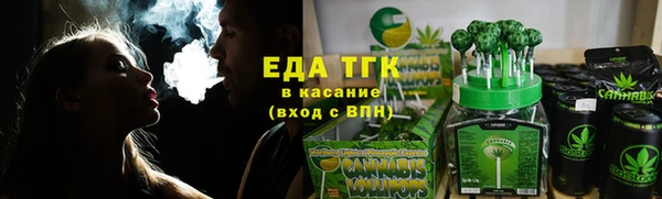 тгк Касимов