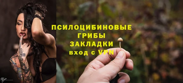 тгк Касимов