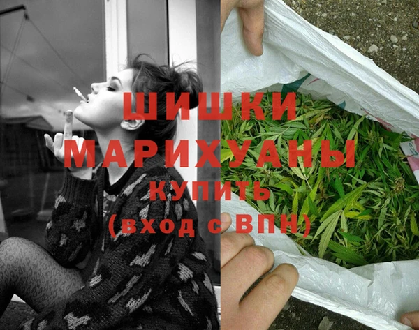 тгк Касимов