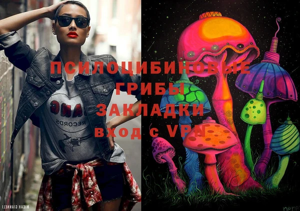 тгк Касимов