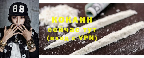 тгк Касимов