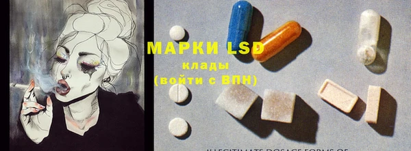 дживик Карпинск